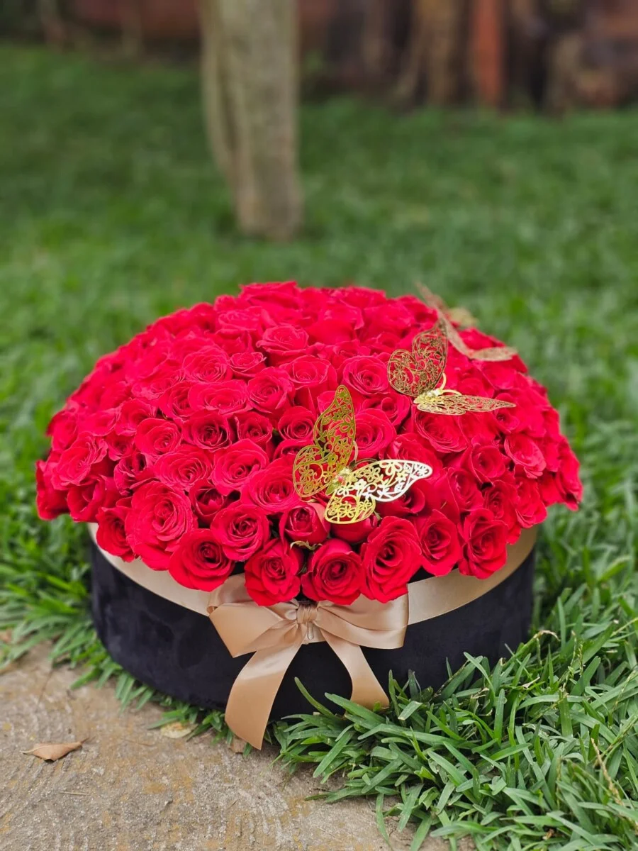 Caja redonda de 200 rosas y mariposas — Buchoncitos
