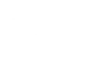 BI