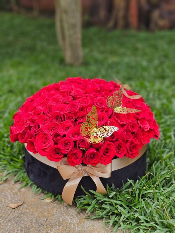 Caja redonda de 200 rosas y mariposas
